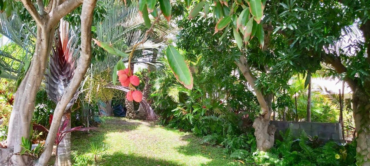 Villa Tropicale - Meuble De Tourisme 4 Etoiles แซ็งต์-จีลส์-เลส์-แบ็งส์ ภายนอก รูปภาพ